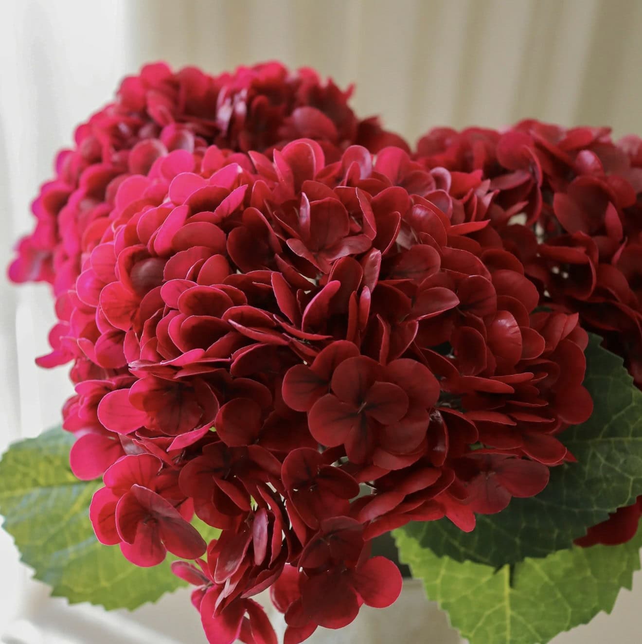 Hortensia, dyp rød - Bilde 2